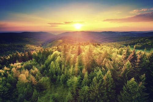 Colossians: Keeping The Hope In View
